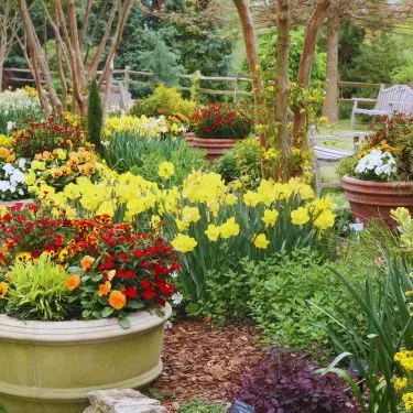 Krukker i haven og på terrassen - miljø og variation